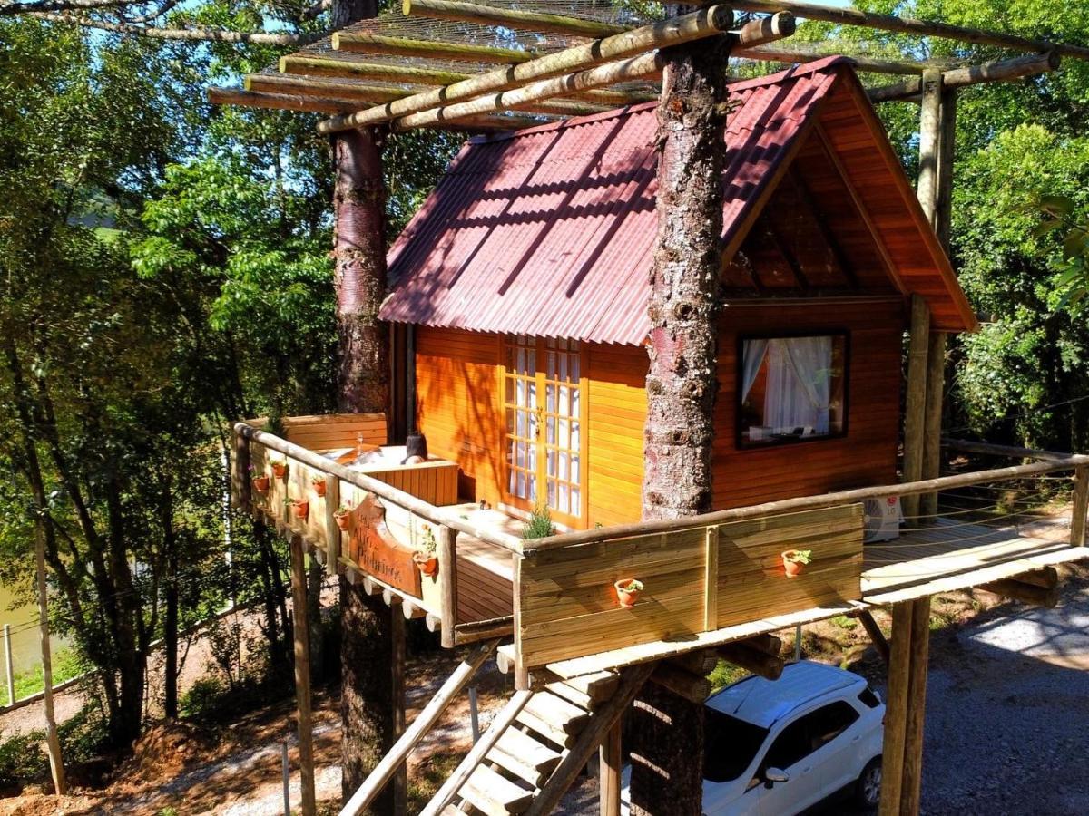 Casa Na Arvore Com Hidro, Piscina, Trilha, Cavalo Bento Gonçalves Exterior foto