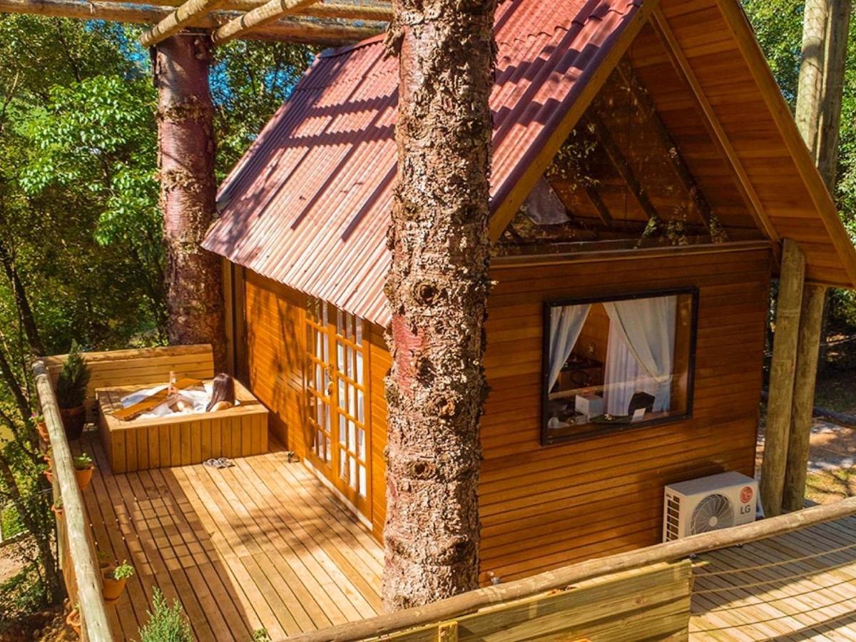 Casa Na Arvore Com Hidro, Piscina, Trilha, Cavalo Bento Gonçalves Exterior foto