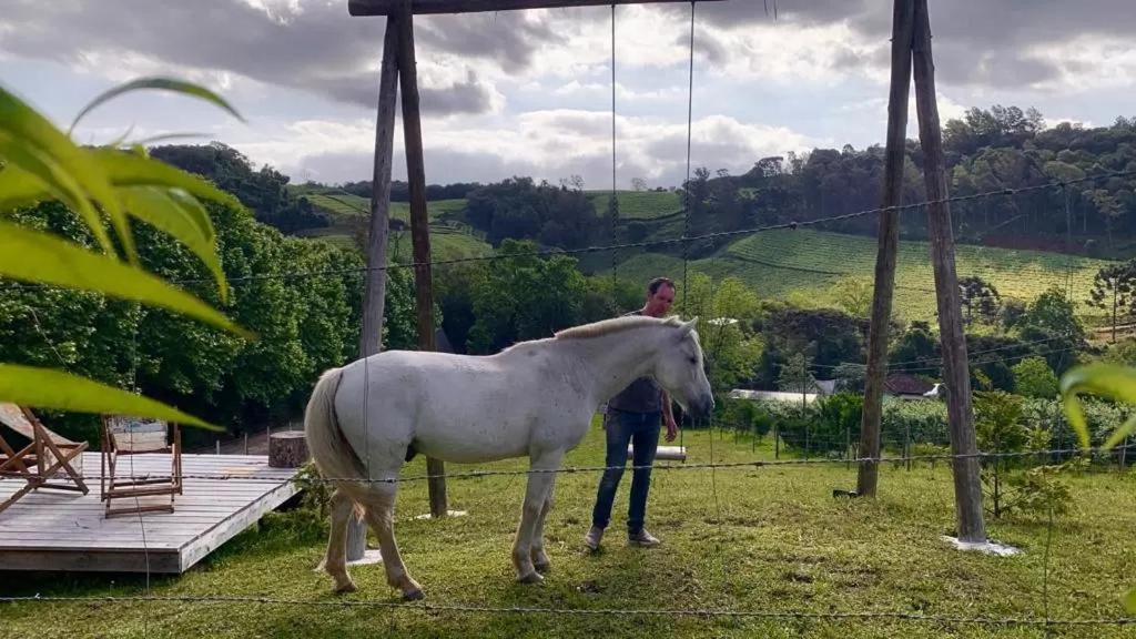 Casa Na Arvore Com Hidro, Piscina, Trilha, Cavalo Bento Gonçalves Exterior foto